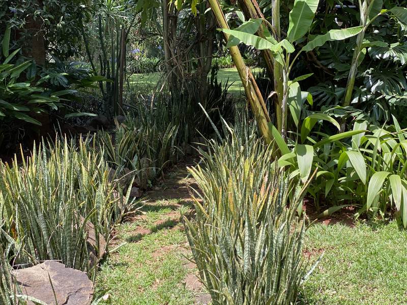 Manor on Lower Kabete - Gallery 47